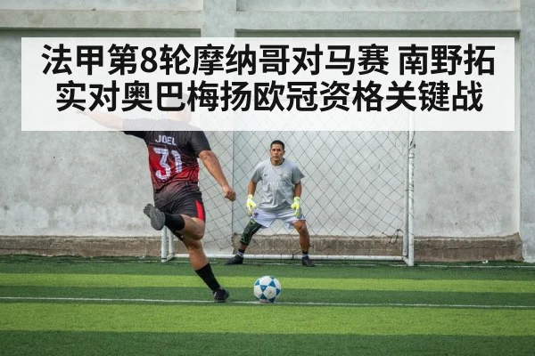 soccer striker shooting penalty area